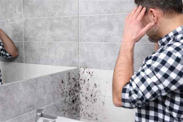 Can Catching and Eliminating Damp Early Actually Save you Money?