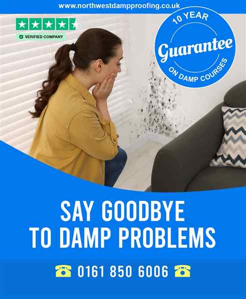 Book a Damp Survey Today