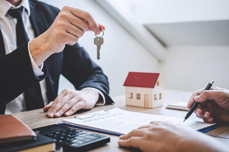 Should You Get a Separate Damp and Mould Survey Before Buying a House in the UK?