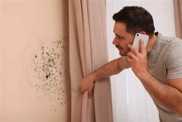 Why Proper Home Ventilation Matters and How to Maintain It, Even During Winter