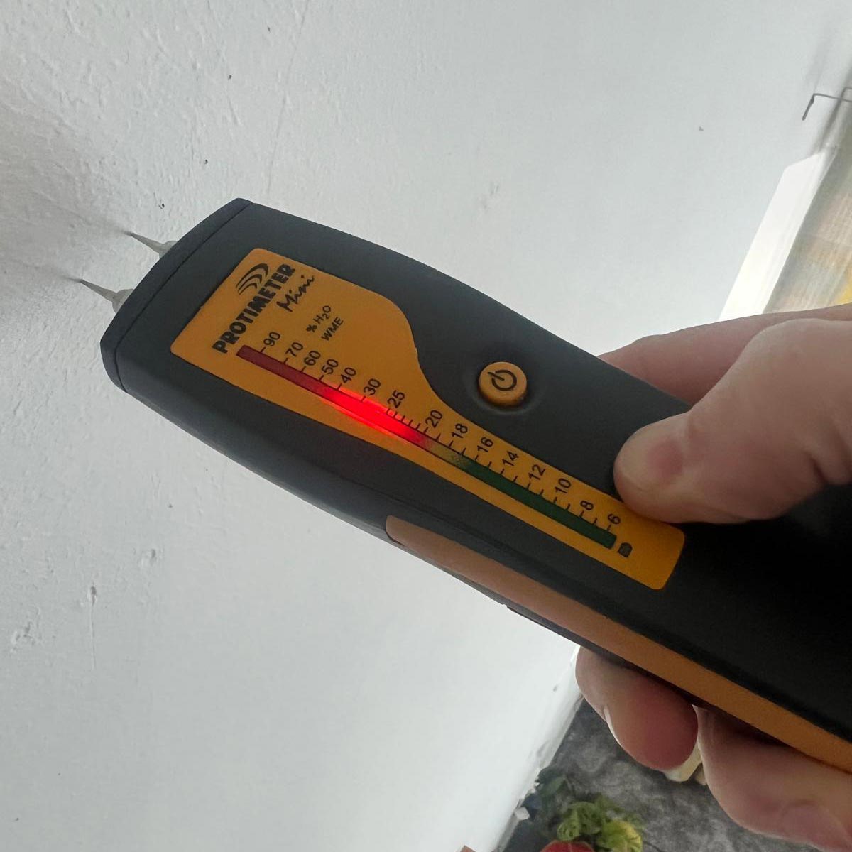 Book a Damp Survey