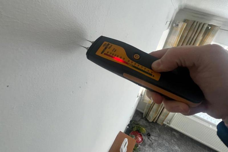 Pre-Purchase Property Damp Survey