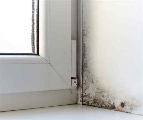 Why is my property damp?