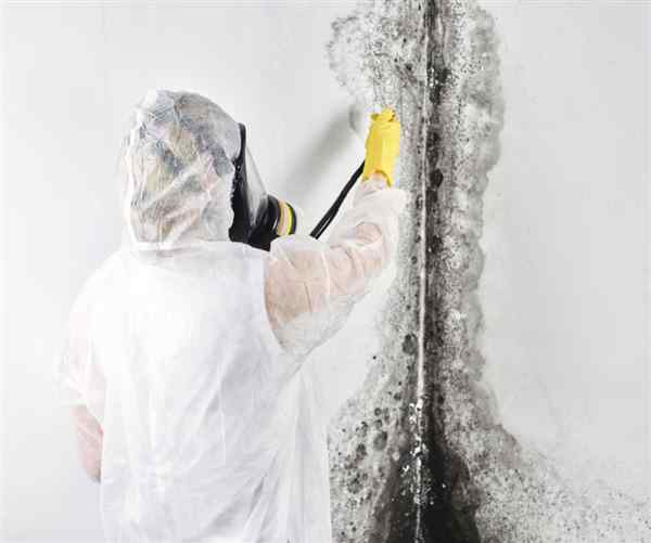 Signs That I Need To Damp Proof My House
