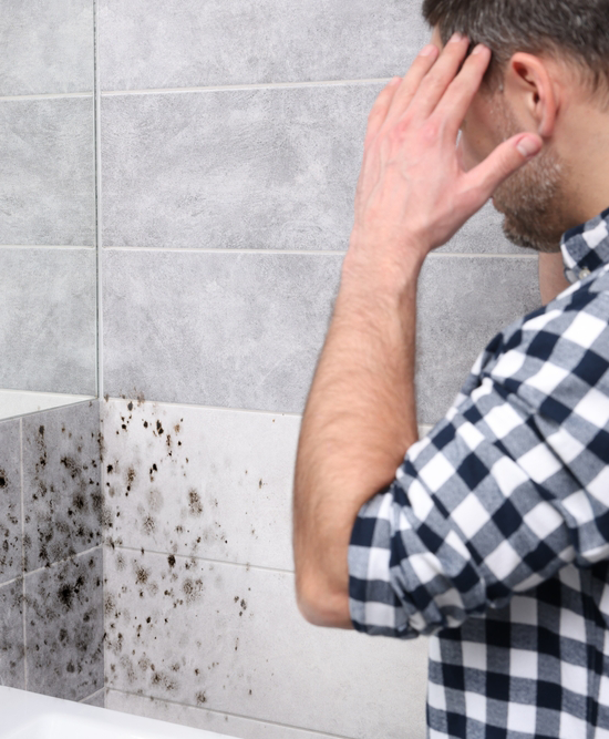 Damp Proofing Manchester
