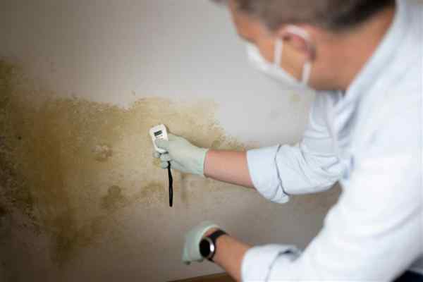 Pre-Purchase Property Damp Survey