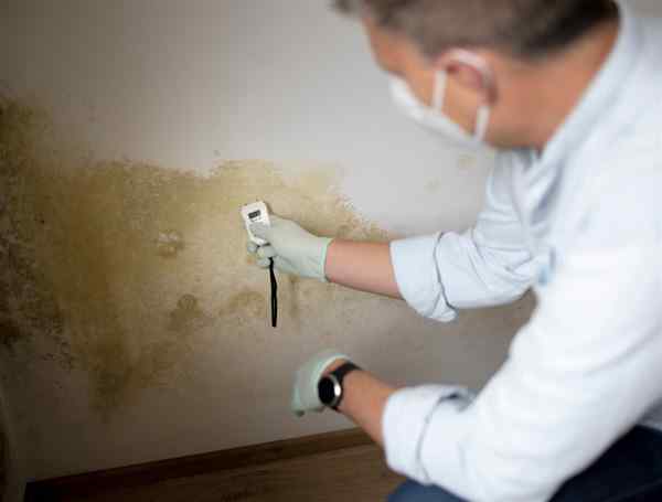 Check for damp before you buy