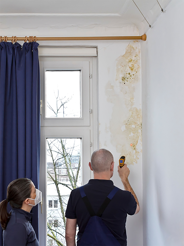 Why is my property damp?