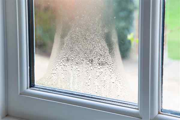 Damp Proofing Manchester