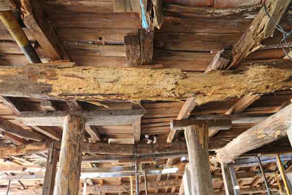 Causes of Dry Rot